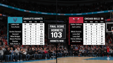 Charlotte Hornets vs Chicago Bulls Match Player Stats