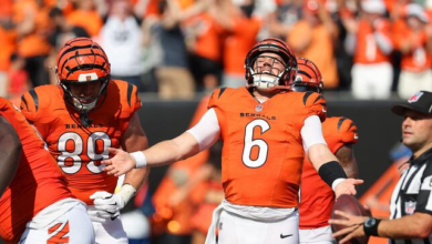 bengals vs jacksonville jaguars match player stats